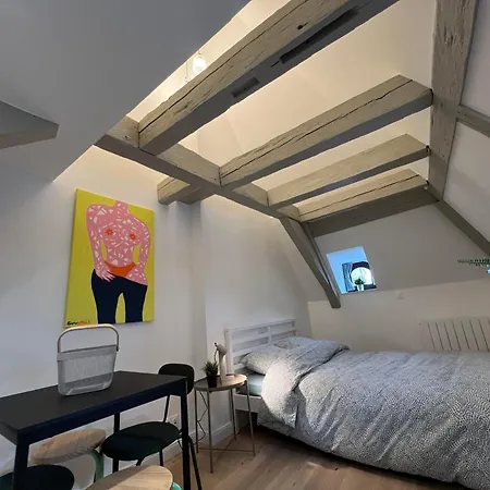 Le Salzmann Apartment Strasbourg Exterior photo